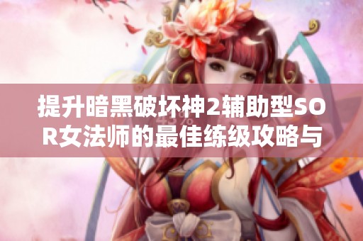 提升暗黑破坏神2辅助型SOR女法师的最佳练级攻略与技巧分享