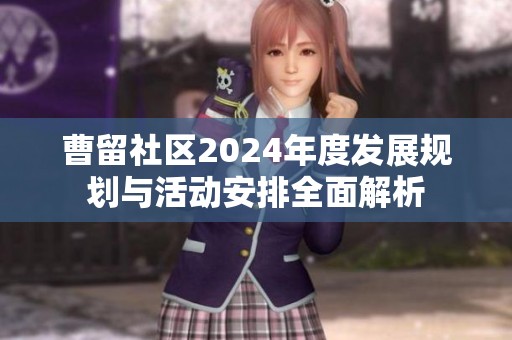 曹留社区2024年度发展规划与活动安排全面解析