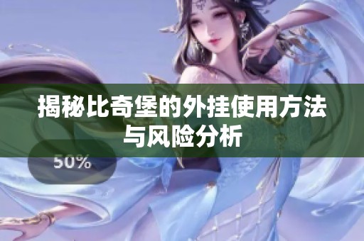 揭秘比奇堡的外挂使用方法与风险分析