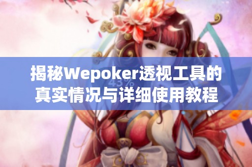 揭秘Wepoker透视工具的真实情况与详细使用教程