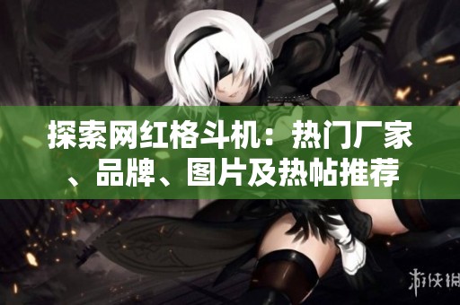 探索网红格斗机：热门厂家、品牌、图片及热帖推荐
