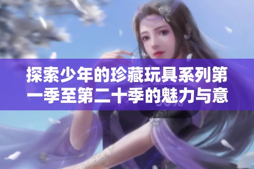 探索少年的珍藏玩具系列第一季至第二十季的魅力与意义