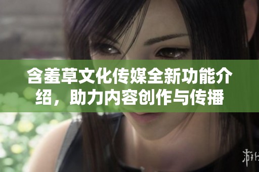 含羞草文化传媒全新功能介绍，助力内容创作与传播