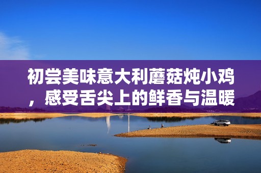 初尝美味意大利蘑菇炖小鸡，感受舌尖上的鲜香与温暖