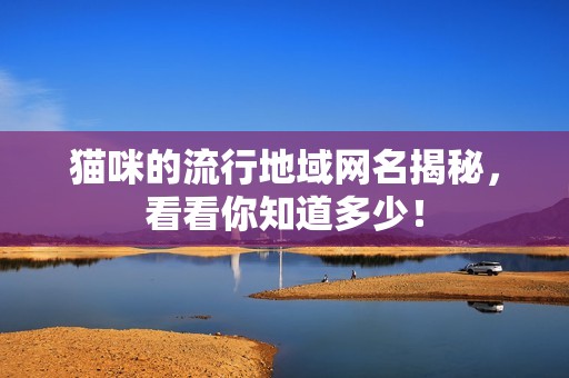 猫咪的流行地域网名揭秘，看看你知道多少！