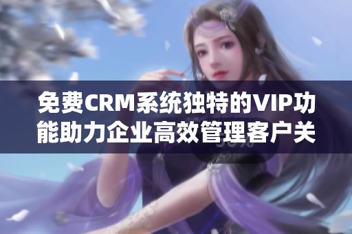 免费CRM系统独特的VIP功能助力企业高效管理客户关系