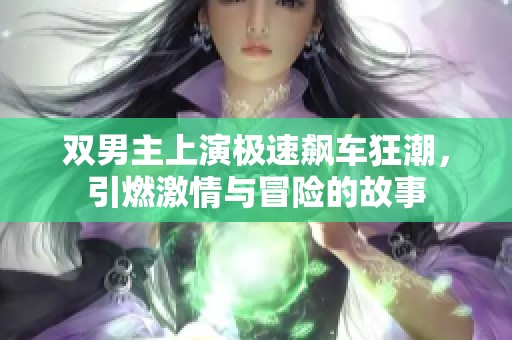 双男主上演极速飙车狂潮，引燃激情与冒险的故事