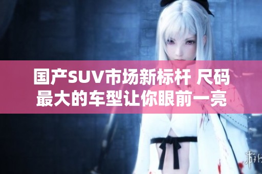 国产SUV市场新标杆 尺码最大的车型让你眼前一亮