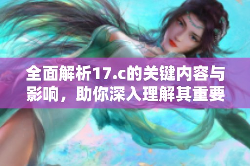 全面解析17.c的关键内容与影响，助你深入理解其重要性