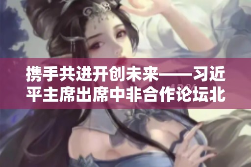 携手共进开创未来——习近平主席出席中非合作论坛北京峰会纪实