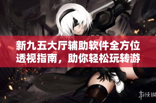 新九五大厅辅助软件全方位透视指南，助你轻松玩转游戏