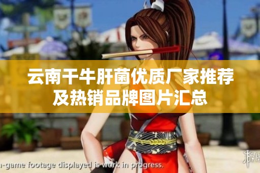 云南干牛肝菌优质厂家推荐及热销品牌图片汇总