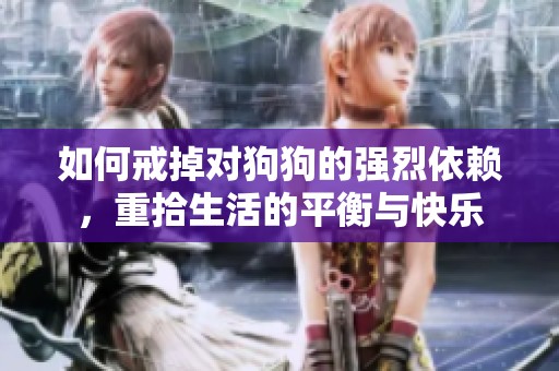 如何戒掉对狗狗的强烈依赖，重拾生活的平衡与快乐