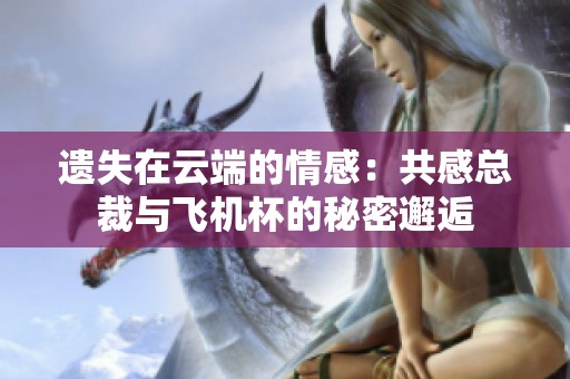 遗失在云端的情感：共感总裁与飞机杯的秘密邂逅