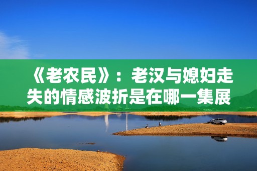 《老农民》：老汉与媳妇走失的情感波折是在哪一集展开的