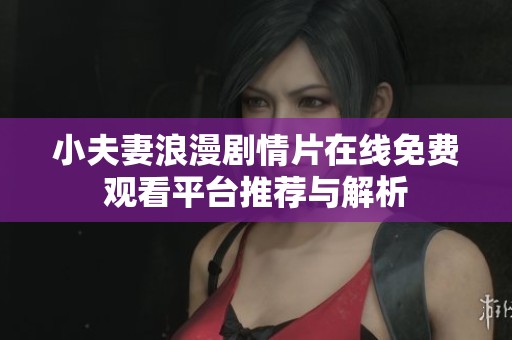 小夫妻浪漫剧情片在线免费观看平台推荐与解析