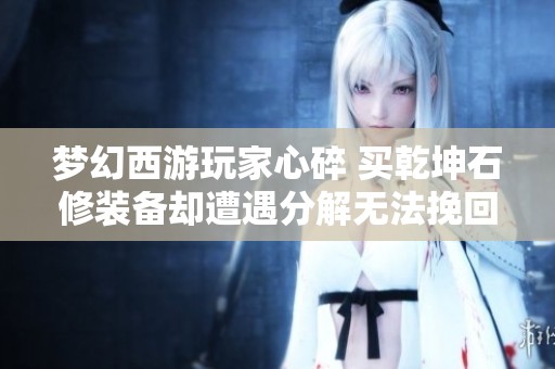 梦幻西游玩家心碎 买乾坤石修装备却遭遇分解无法挽回