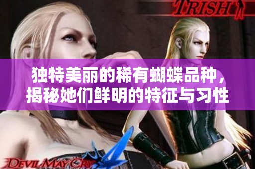 独特美丽的稀有蝴蝶品种，揭秘她们鲜明的特征与习性