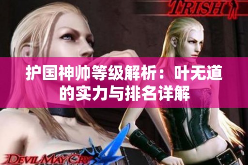 护国神帅等级解析：叶无道的实力与排名详解