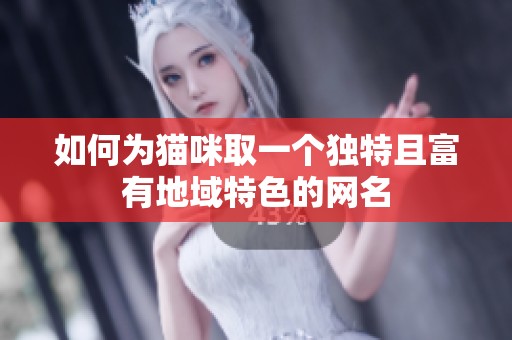 如何为猫咪取一个独特且富有地域特色的网名