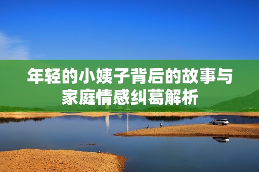 年轻的小姨子背后的故事与家庭情感纠葛解析
