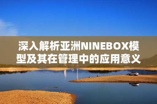 深入解析亚洲NINEBOX模型及其在管理中的应用意义