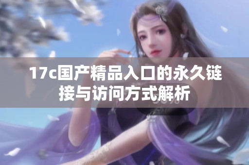 17c国产精品入口的永久链接与访问方式解析