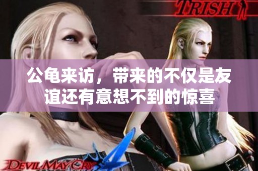 公龟来访，带来的不仅是友谊还有意想不到的惊喜