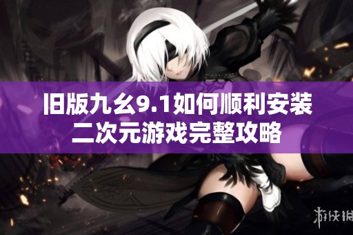 旧版九幺9.1如何顺利安装二次元游戏完整攻略