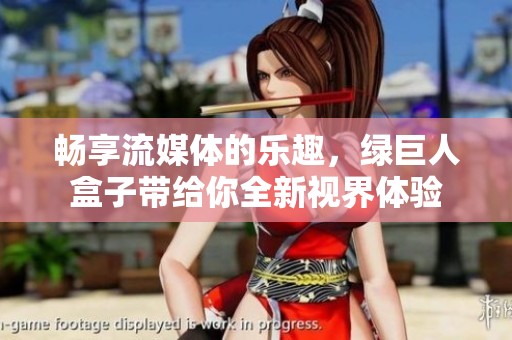 畅享流媒体的乐趣，绿巨人盒子带给你全新视界体验