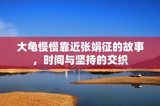 大龟慢慢靠近张娟征的故事，时间与坚持的交织