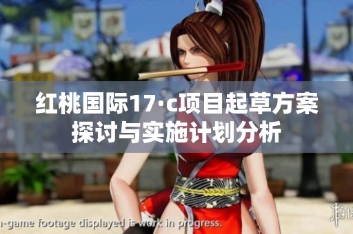 红桃国际17·c项目起草方案探讨与实施计划分析
