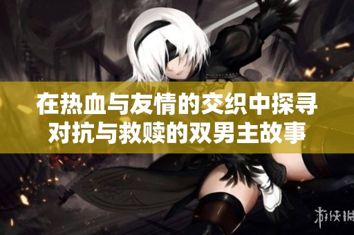 在热血与友情的交织中探寻对抗与救赎的双男主故事