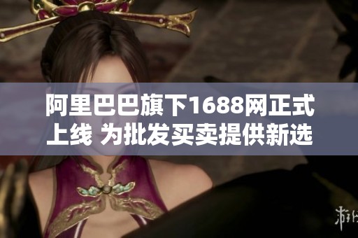 阿里巴巴旗下1688网正式上线 为批发买卖提供新选择