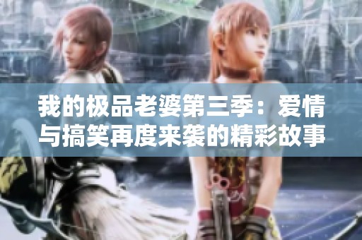我的极品老婆第三季：爱情与搞笑再度来袭的精彩故事