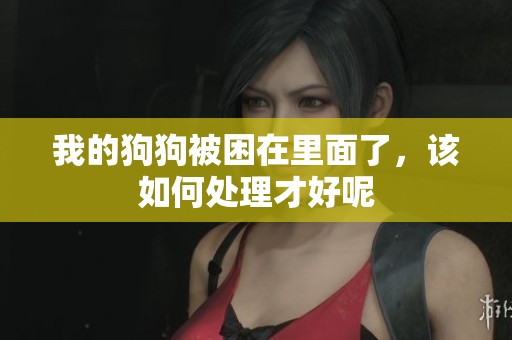 我的狗狗被困在里面了，该如何处理才好呢