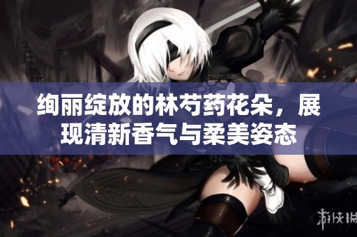 绚丽绽放的林芍药花朵，展现清新香气与柔美姿态