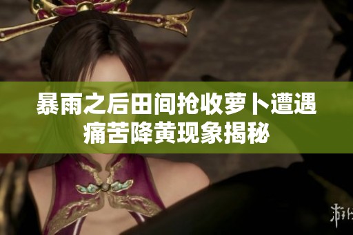 暴雨之后田间抢收萝卜遭遇痛苦降黄现象揭秘