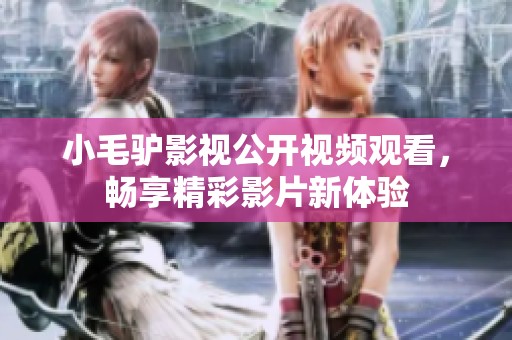 小毛驴影视公开视频观看，畅享精彩影片新体验