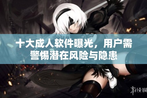 十大成人软件曝光，用户需警惕潜在风险与隐患
