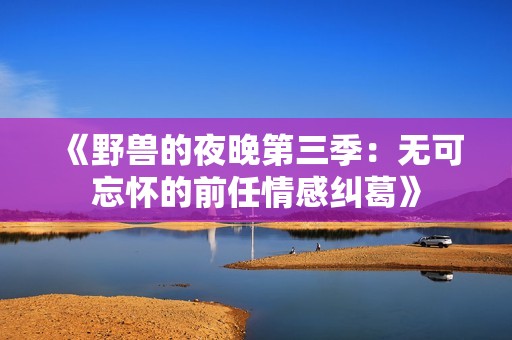 《野兽的夜晚第三季：无可忘怀的前任情感纠葛》