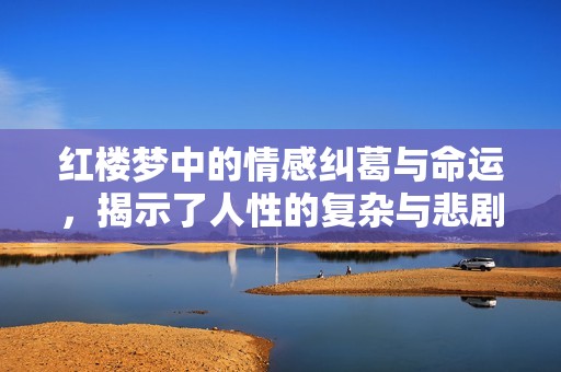红楼梦中的情感纠葛与命运，揭示了人性的复杂与悲剧