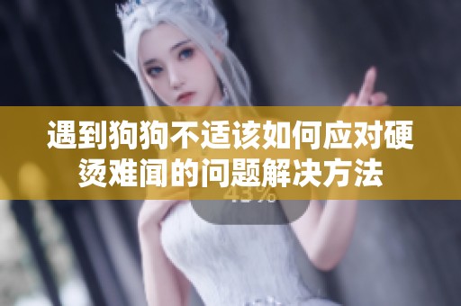 遇到狗狗不适该如何应对硬烫难闻的问题解决方法
