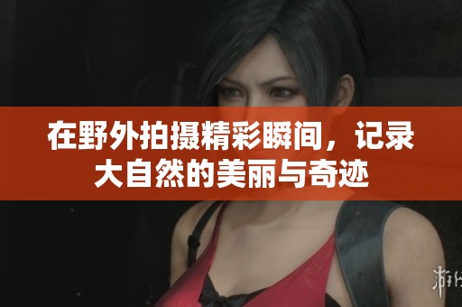 在野外拍摄精彩瞬间，记录大自然的美丽与奇迹