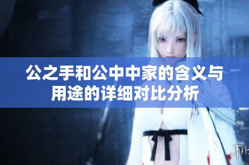 公之手和公中中家的含义与用途的详细对比分析