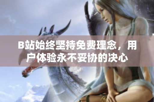 B站始终坚持免费理念，用户体验永不妥协的决心