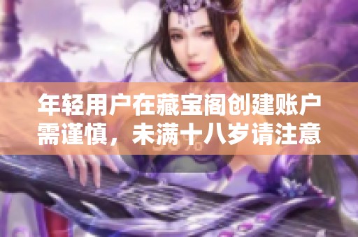 年轻用户在藏宝阁创建账户需谨慎，未满十八岁请注意事项