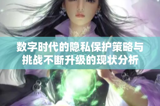 数字时代的隐私保护策略与挑战不断升级的现状分析