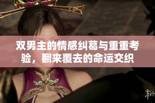 双男主的情感纠葛与重重考验，翻来覆去的命运交织