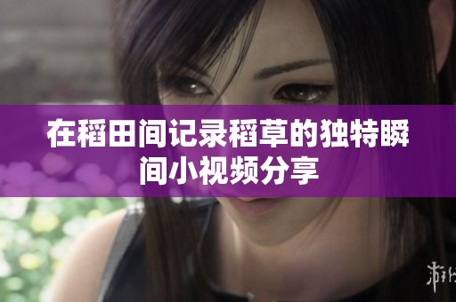 在稻田间记录稻草的独特瞬间小视频分享